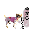みんな大好きしずちゃん（個別スタンプ：6）