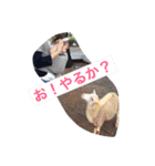 娘の独り言2（個別スタンプ：15）