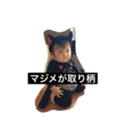 娘の独り言2（個別スタンプ：17）