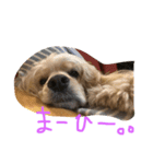 ダイナな毎日②（個別スタンプ：1）