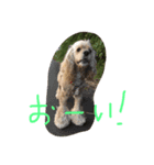 ダイナな毎日②（個別スタンプ：3）