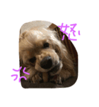 ダイナな毎日②（個別スタンプ：5）