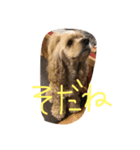 ダイナな毎日②（個別スタンプ：8）