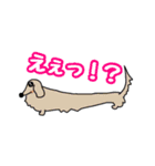 dan zoo land（個別スタンプ：16）