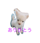 星子のひと時（個別スタンプ：8）