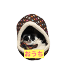 ころばるさん（個別スタンプ：7）