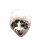 ひげみん（個別スタンプ：3）