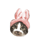ひげみん（個別スタンプ：4）