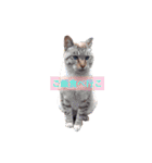 Textamp！（個別スタンプ：26）