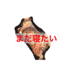 Textamp！（個別スタンプ：27）