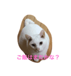 うちの癒したち（個別スタンプ：1）