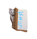 うちの癒したち（個別スタンプ：3）