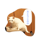 うちの癒したち（個別スタンプ：7）