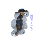 Beagleチョコの1日（個別スタンプ：2）