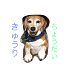 Beagleチョコの1日（個別スタンプ：13）