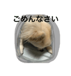 ミルク パート 2（個別スタンプ：3）