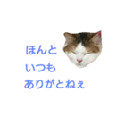 わかなず大（個別スタンプ：14）