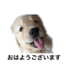 デカ文字(メイプルバター)ゴールデン（個別スタンプ：4）