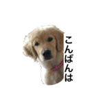 デカ文字(メイプルバター)ゴールデン（個別スタンプ：6）