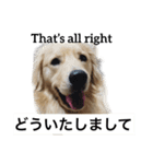 デカ文字(メイプルバター)ゴールデン（個別スタンプ：30）