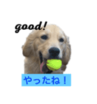 デカ文字(メイプルバター)ゴールデン（個別スタンプ：32）