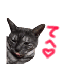 可愛い猫！！（個別スタンプ：7）