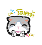 Powder Thai Cat（個別スタンプ：2）