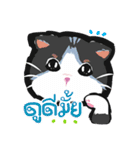 Powder Thai Cat（個別スタンプ：8）