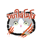 Powder Thai Cat（個別スタンプ：14）