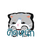 Powder Thai Cat（個別スタンプ：17）