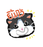 Powder Thai Cat（個別スタンプ：32）