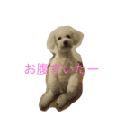 kikichan memories（個別スタンプ：6）