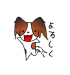 元気なパピヨン（個別スタンプ：1）