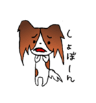 元気なパピヨン（個別スタンプ：2）