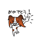 元気なパピヨン（個別スタンプ：3）