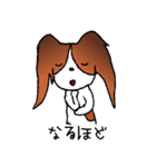元気なパピヨン（個別スタンプ：4）