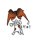 元気なパピヨン（個別スタンプ：8）