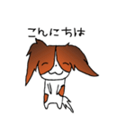 元気なパピヨン（個別スタンプ：16）