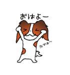 元気なパピヨン（個別スタンプ：21）