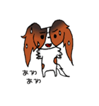 元気なパピヨン（個別スタンプ：23）
