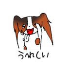 元気なパピヨン（個別スタンプ：37）