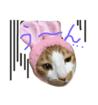 キョン吉すたんぷ（個別スタンプ：3）