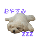 愛犬すいか（個別スタンプ：10）