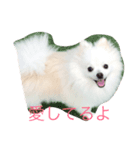 riri Love you（個別スタンプ：1）