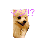 riri Love you（個別スタンプ：2）