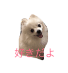 riri Love you（個別スタンプ：4）