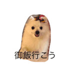 riri Love you（個別スタンプ：5）