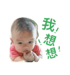 North Garden baby boss（個別スタンプ：3）