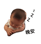 North Garden baby boss（個別スタンプ：11）
