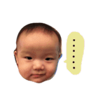 North Garden baby boss（個別スタンプ：12）